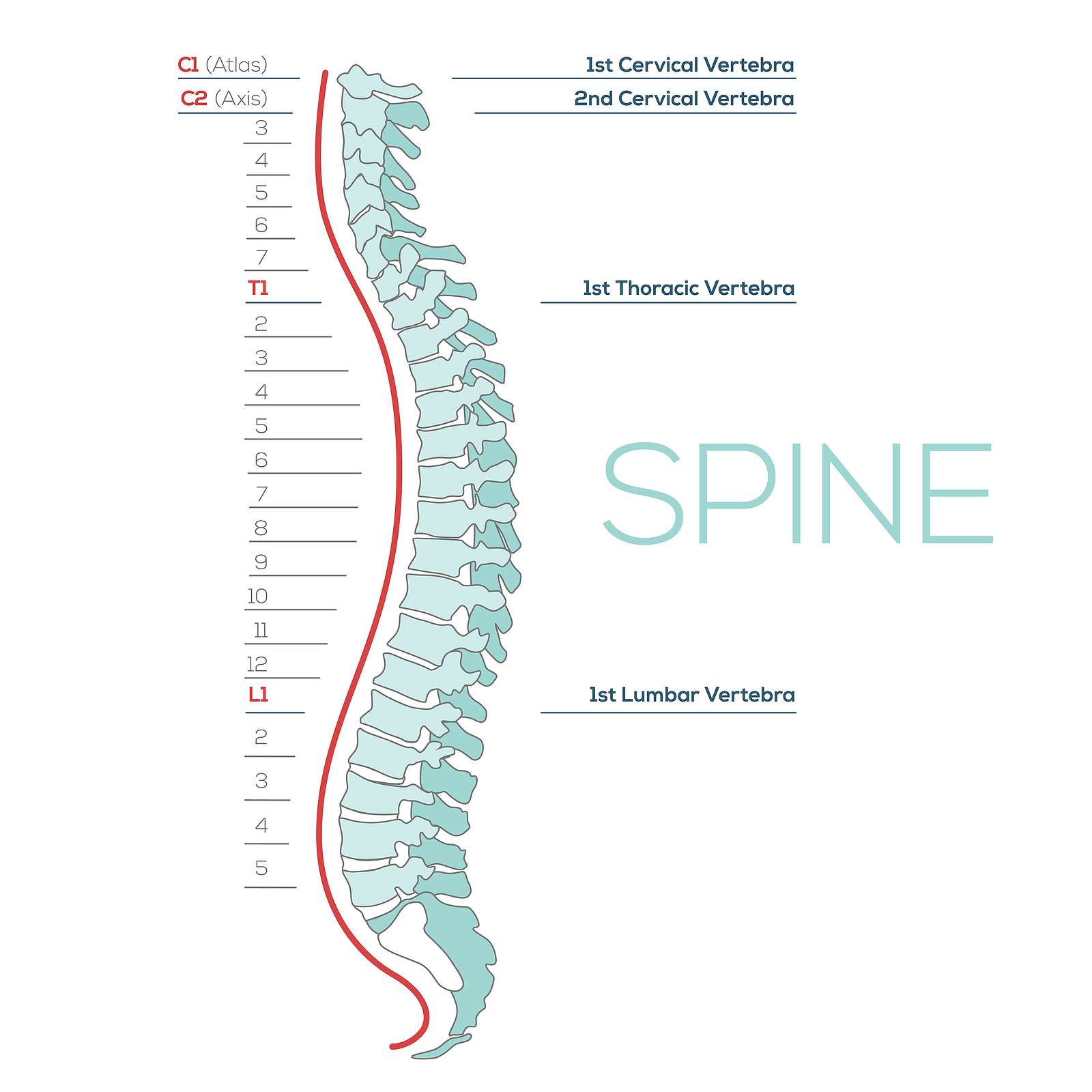 low back pain treatment in Milton